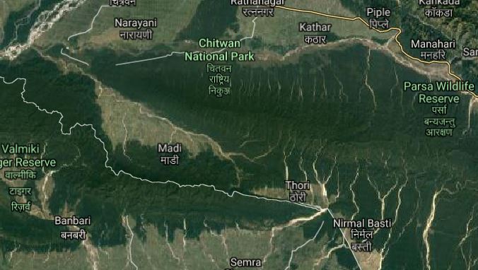 चितवन राष्ट्रिय निकुञ्जमा गैंडा मृत अवस्थामा फेला