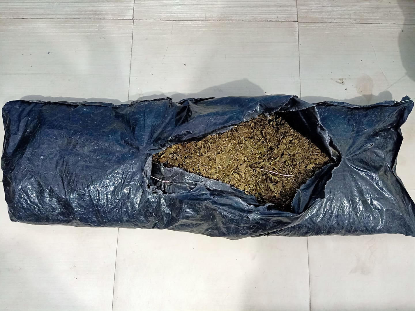 वीरगंजका छुट्टाछुट्टै स्थानबाट लागुऔषधसहित दुई जना पक्राउ