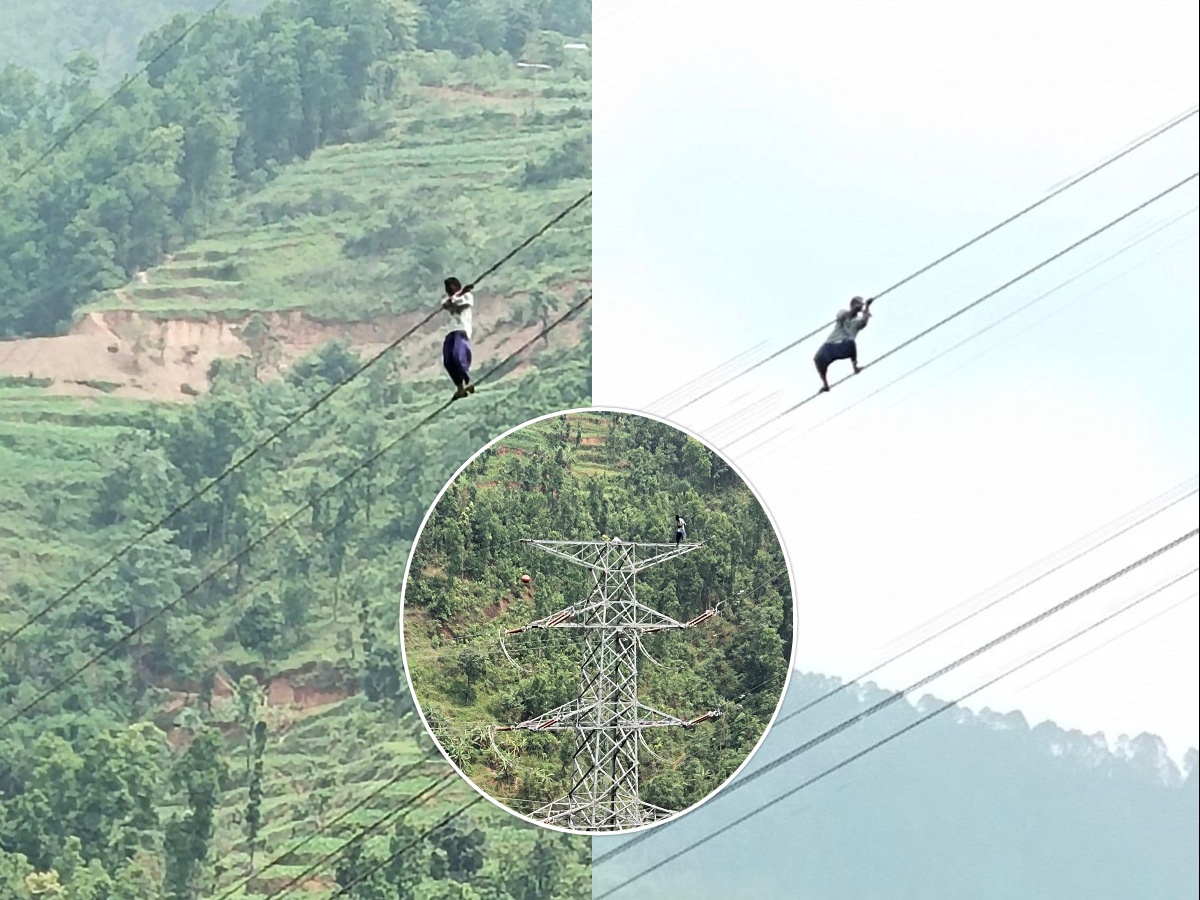 प्रसारण लाइनमा चढेको ९ घण्टापछि माइलाको उद्धार, लगाइयो प्रहरीको जिम्मा